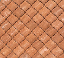 Fleur De Lis Tecate Tile