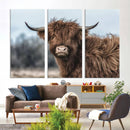 Fluffy Highland Cow Photograph Wall Art Canvas, Black And