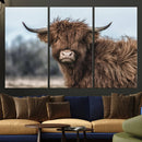 Fluffy Highland Cow Photograph Wall Art Canvas, Black And