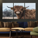 Fluffy Highland Cow Photograph Wall Art Canvas, Black And