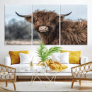 Fluffy Highland Cow Photograph Wall Art Canvas, Black And