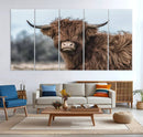 Fluffy Highland Cow Photograph Wall Art Canvas, Black And