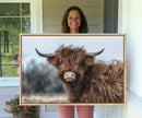 Fluffy Highland Cow Photograph Wall Art Canvas, Black And