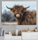 Fluffy Highland Cow Photograph Wall Art Canvas, Black And