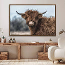 Fluffy Highland Cow Photograph Wall Art Canvas, Black And