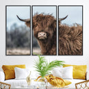 Fluffy Highland Cow Photograph Wall Art Canvas, Black And