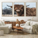 Fluffy Highland Cow Photograph Wall Art Canvas, Black And