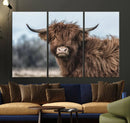 Fluffy Highland Cow Wall Art Canvas Print
