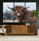 Fluffy Highland Cow Wall Art Canvas Print