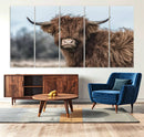 Fluffy Highland Cow Wall Art Canvas Print