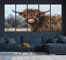 Fluffy Highland Cow Wall Art Canvas Print