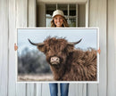 Fluffy Highland Cow Wall Art Canvas Print