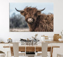 Fluffy Highland Cow Wall Art Canvas Print