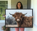 Fluffy Highland Cow Wall Art Canvas Print