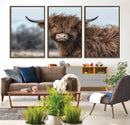 Fluffy Highland Cow Wall Art Canvas Print