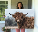 Fluffy Highland Cow Wall Art Canvas Print