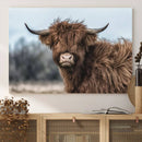 Fluffy Highland Cow Wall Art Canvas Print