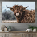 Fluffy Highland Cow Wall Art Canvas Print