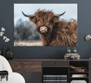 Fluffy Highland Cow Wall Art Canvas Print by MyGreatCanvas | Canvas Wall Art Prints | Photo Prints & Wall Decor