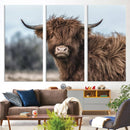 Fluffy Highland Cow Wall Art Canvas Print