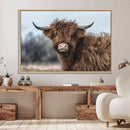 Fluffy Highland Cow Wall Art Canvas Print
