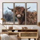 Fluffy Highland Cow Wall Art Canvas Print