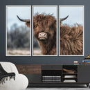 Fluffy Highland Cow Wall Art Canvas Print
