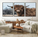 Fluffy Highland Cow Wall Art Canvas Print