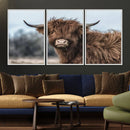 Fluffy Highland Cow Wall Art Canvas Print