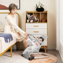 Foldable Baby Bouncer with Removable Fabric Cover and Toy Bar by LJGDeals