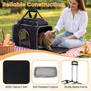 Rolling Pet Carrier with Wheels for Cats and Small Dogs