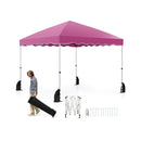 Foldable 10 X 10 Feet Pop up Canopy Tent with Wheeled Bag
