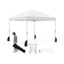 Foldable 10 X 10 Feet Pop up Canopy Tent with Wheeled Bag by LJGDeals