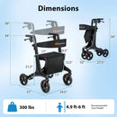 Foldable Rollator Rolling Walker with Seat for Seniors-Black by LJGDeals