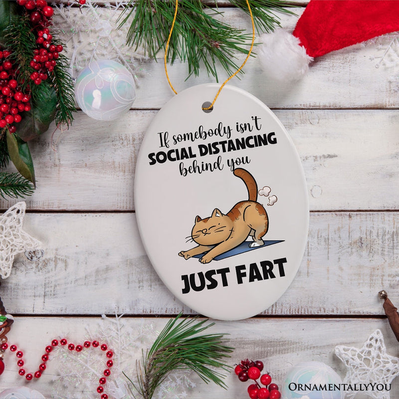 If Somebody Isn't Social Distancing Just Fart Quirky Cat, Cute and Funny Christmas Gift