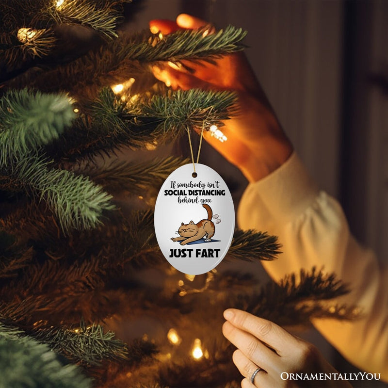 If Somebody Isn't Social Distancing Just Fart Quirky Cat, Cute and Funny Christmas Gift