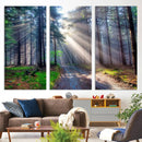 Forest Path Canvas Wall Art | 3 Panel Sun Rays in a Misty