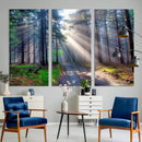 Forest Path Canvas Wall Art | 3 Panel Sun Rays in a Misty