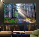 Forest Path Canvas Wall Art | 3 Panel Sun Rays in a Misty