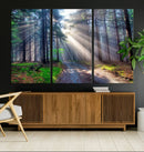 Forest Path Canvas Wall Art | 3 Panel Sun Rays in a Misty