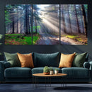 Forest Path Canvas Wall Art | 3 Panel Sun Rays in a Misty