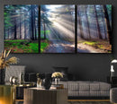 Forest Path Canvas Wall Art | 3 Panel Sun Rays in a Misty