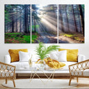 Forest Path Canvas Wall Art | 3 Panel Sun Rays in a Misty