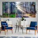 Forest Path Canvas Wall Art | 3 Panel Sun Rays in a Misty
