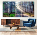Forest Path Canvas Wall Art | 3 Panel Sun Rays in a Misty