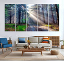 Forest Path Canvas Wall Art | 3 Panel Sun Rays in a Misty