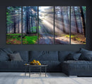 Forest Path Canvas Wall Art | 3 Panel Sun Rays in a Misty