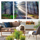 Forest Path Canvas Wall Art | 3 Panel Sun Rays in a Misty