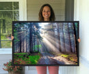 Forest Path Canvas Wall Art | 3 Panel Sun Rays in a Misty