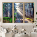 Forest Path Canvas Wall Art | 3 Panel Sun Rays in a Misty